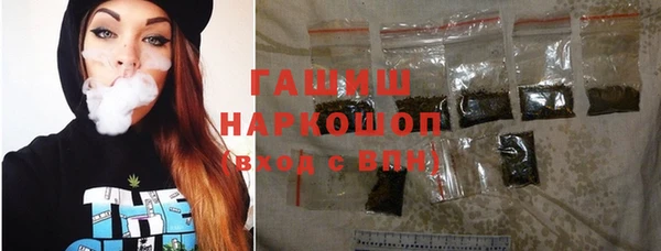 spice Бородино