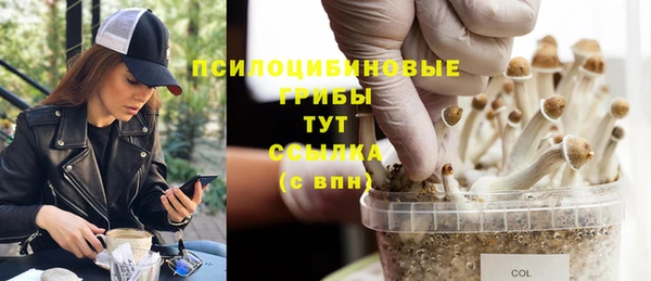 spice Бородино