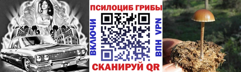 Галлюциногенные грибы мицелий  Бийск 